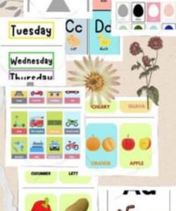 Kids Educational Bundle #1