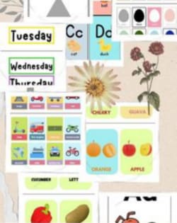 Kids Educational Bundle #1